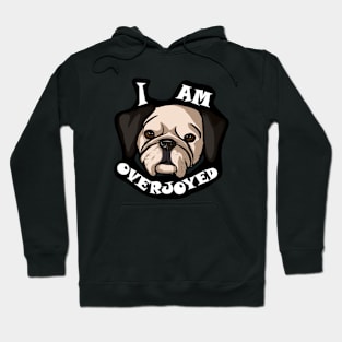 Overjoyed Hoodie